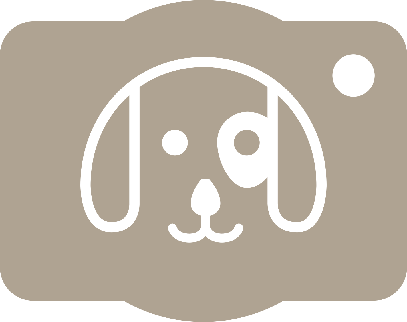 Meu ensaio Pet